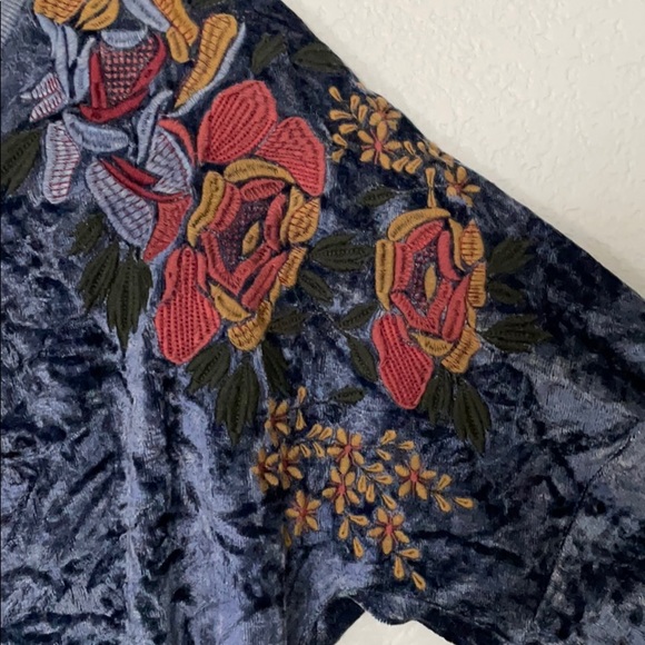 Velvet Embroidered Sweatshirt - Picture 5 of 6